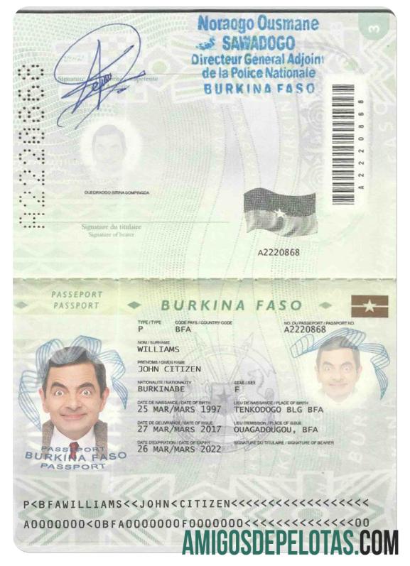 Passaporte de Burkina Faso (2008 2018) baixar para verificação